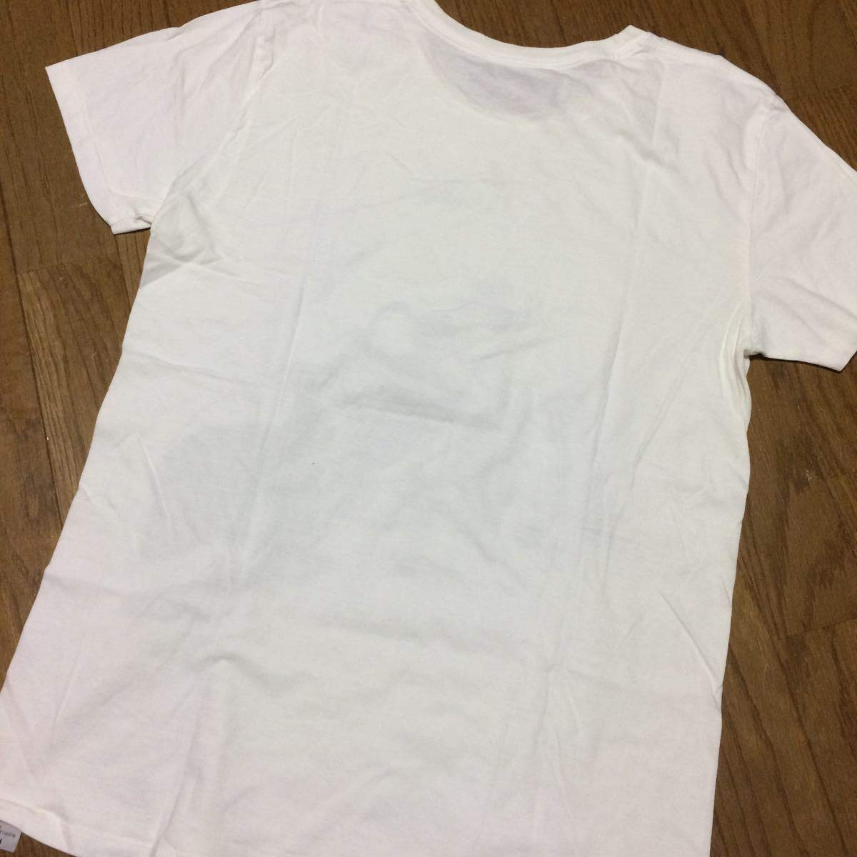 ジョジョ展 東京キービジュアルTシャツ 承太郎&イギ ー 荒木飛呂彦原画展富士山 ジョジョ展 東京キービジュアルTシャツ 承太郎&イギ ー 荒木